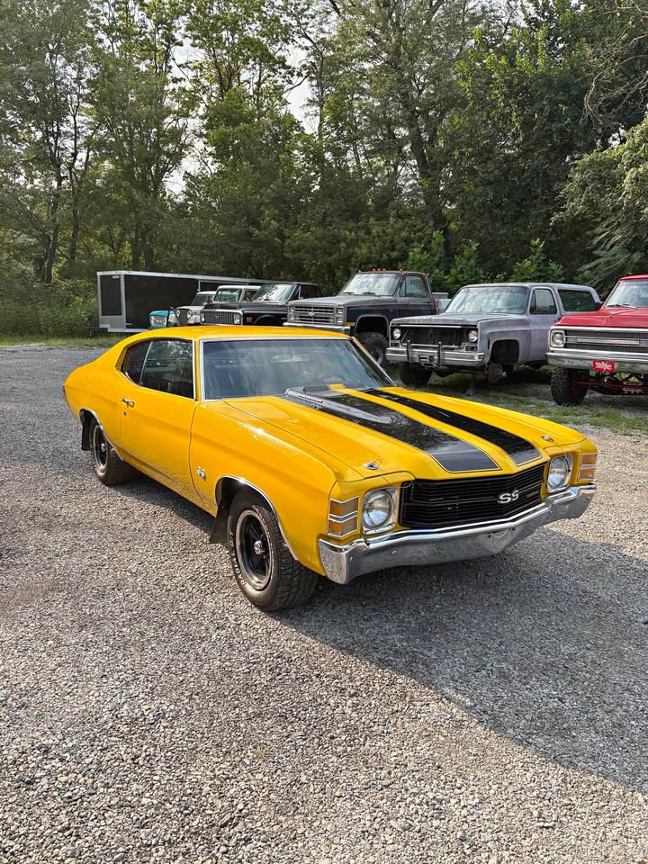 1971 Chevrolet Chevelle — photo 5 of 15