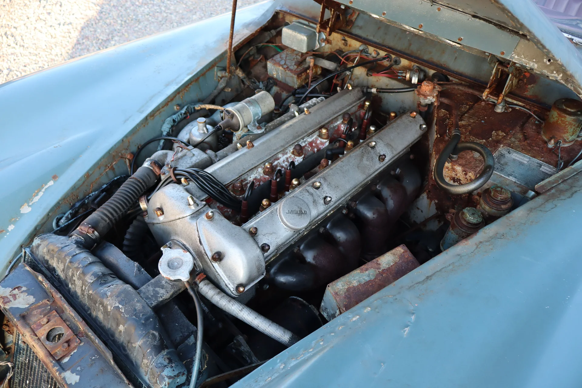 1959 Jaguar XK150 — photo 4 of 16