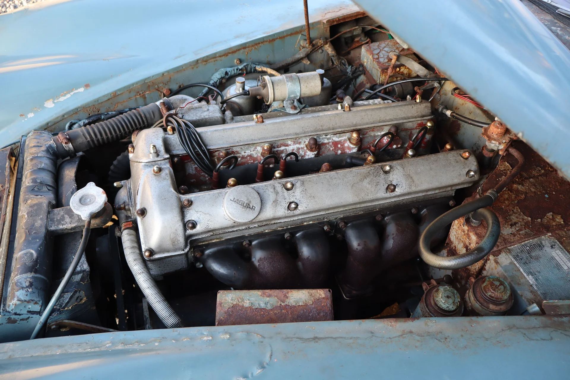 1959 Jaguar XK150 — photo 5 of 16